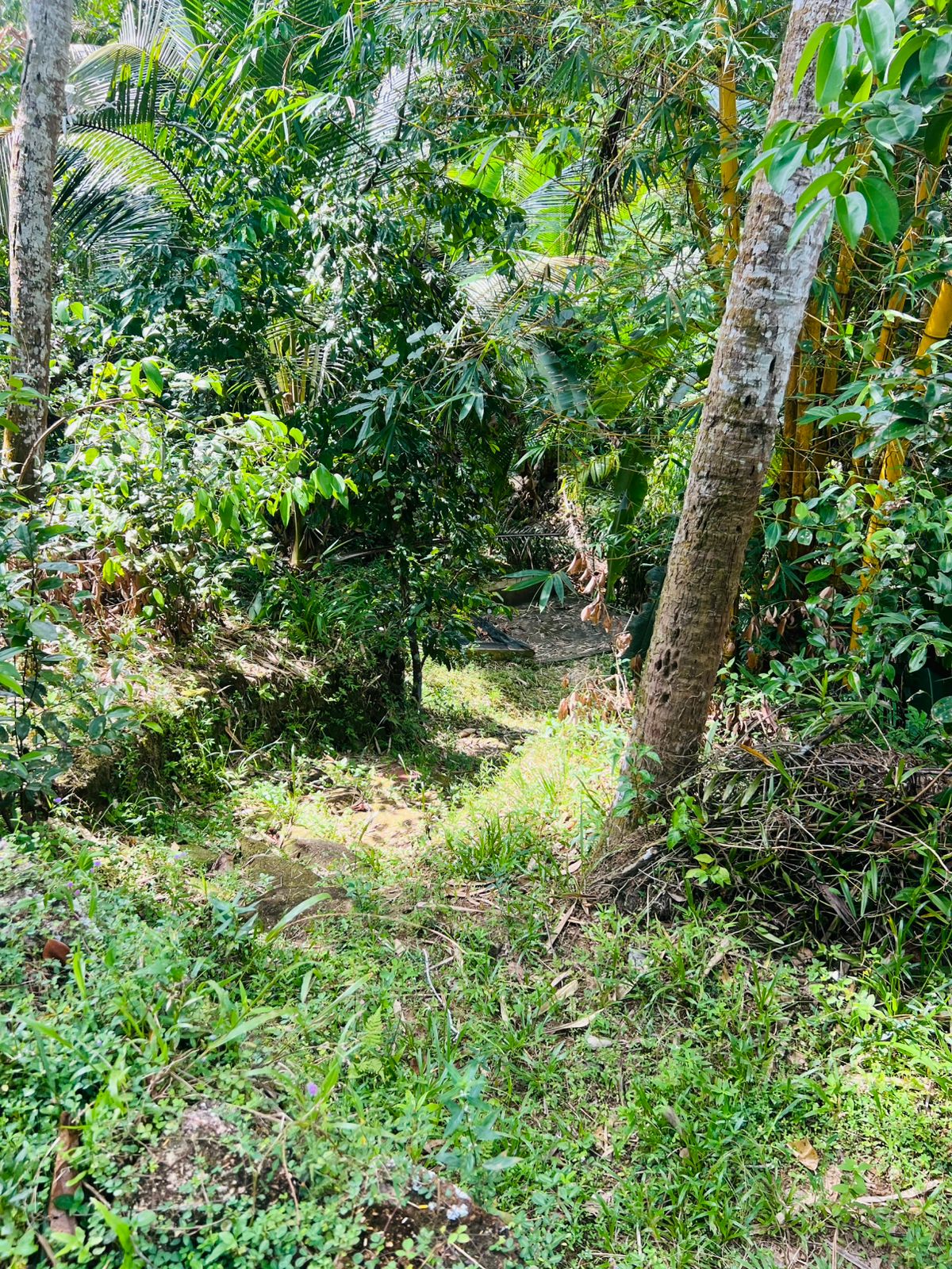 Land for Sale in Akuressa