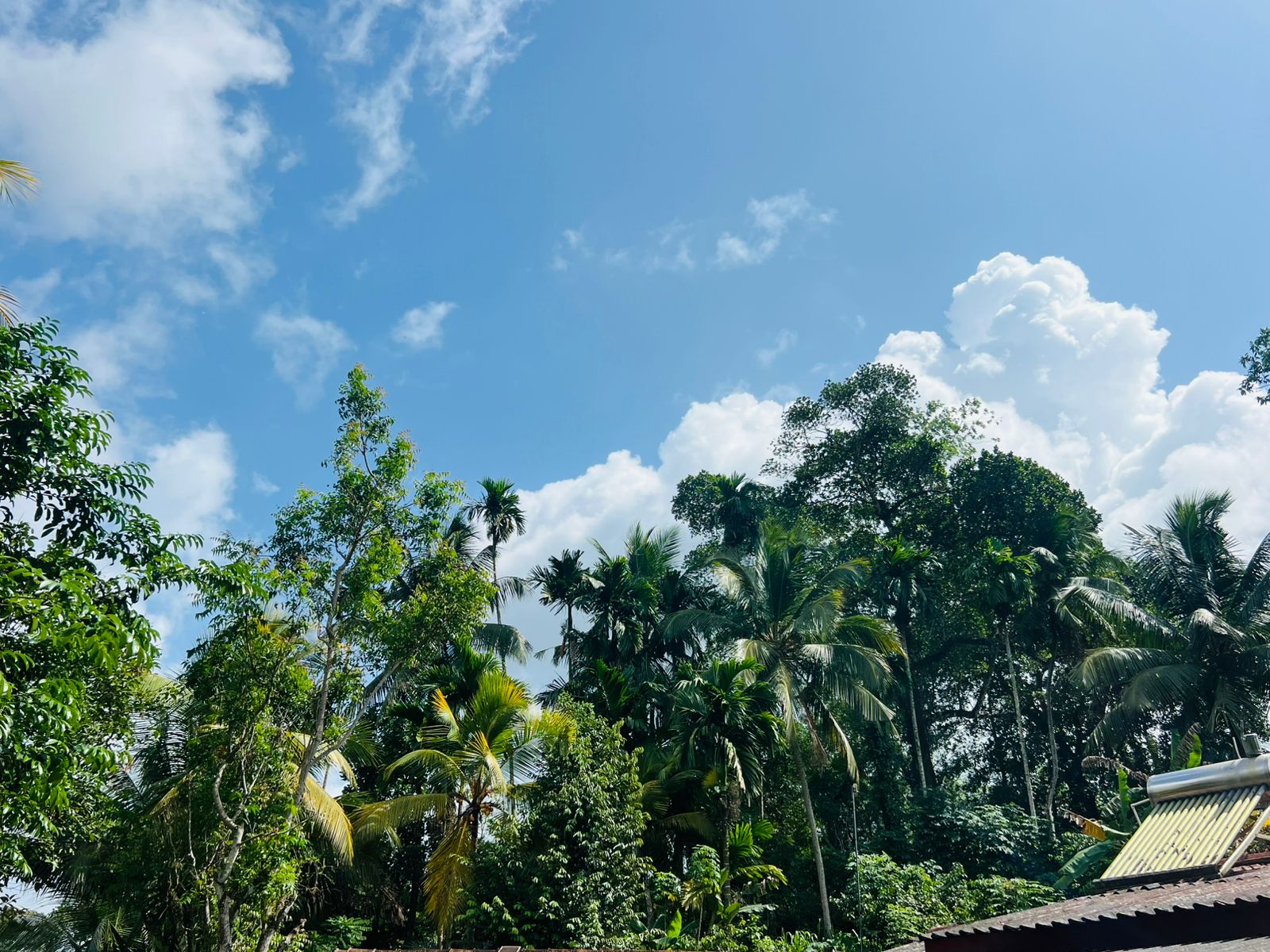 Land for Sale in Akuressa