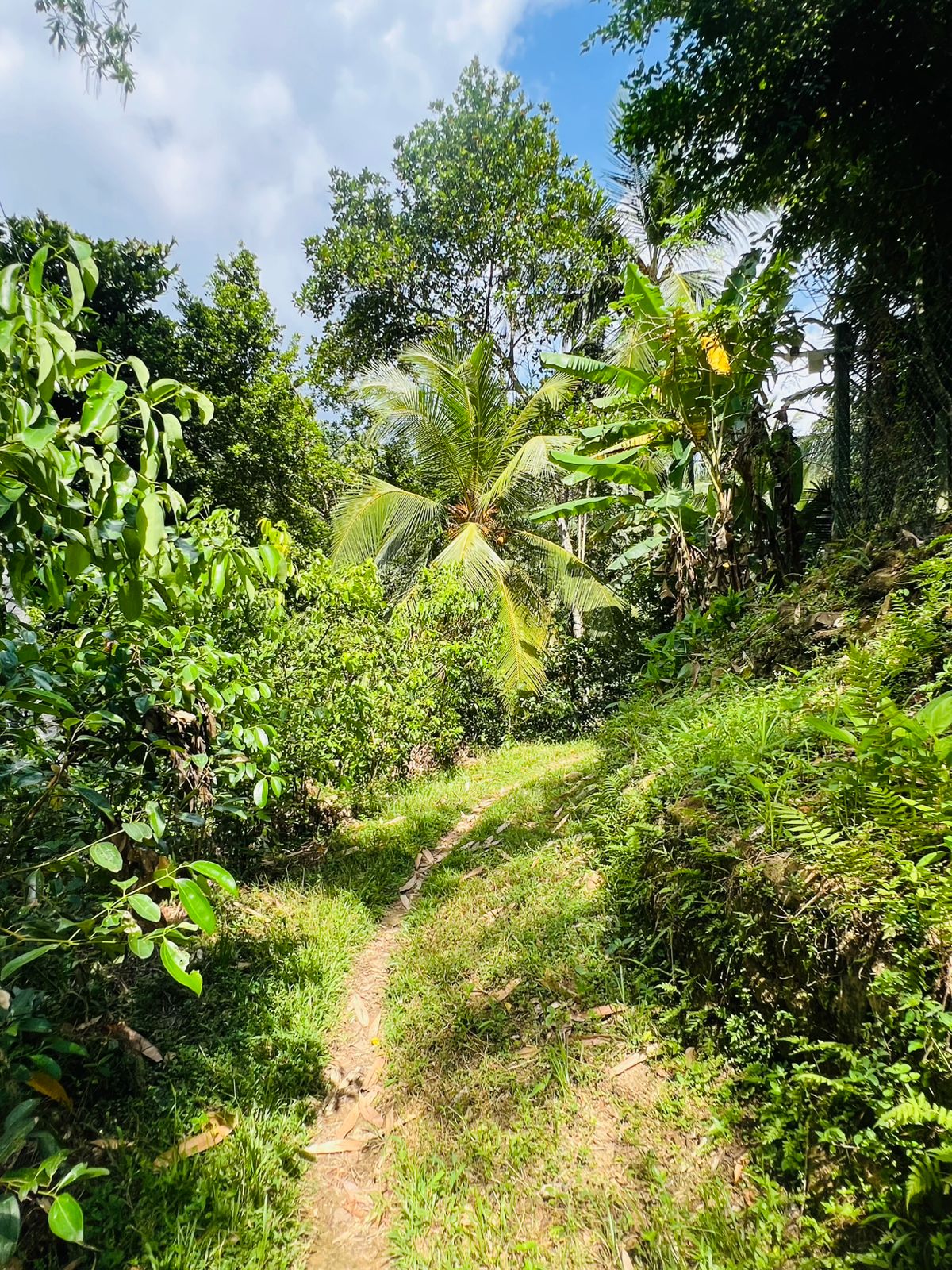 Land for Sale in Akuressa