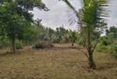 Residential Land for Sale in Millaniya