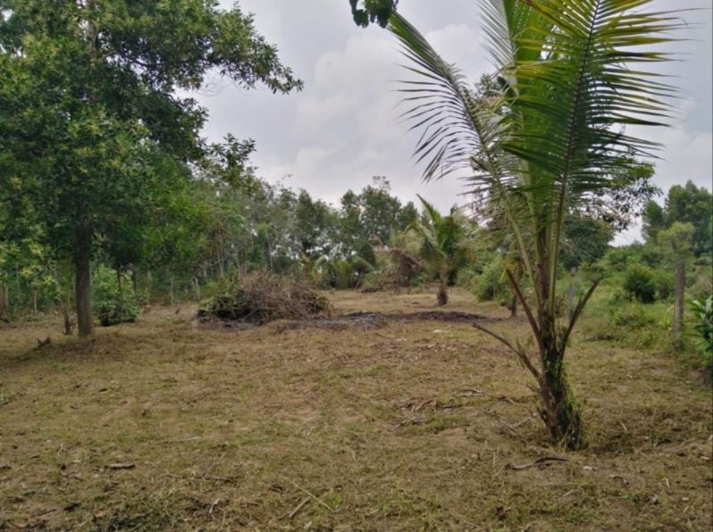 Residential Land for Sale in Millaniya