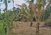 Residential Land for Sale in Millaniya