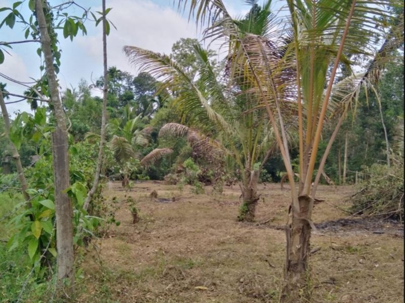 Residential Land for Sale in Millaniya