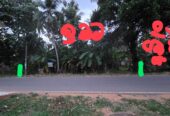 Land For Sale In Kurunegala