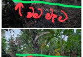 Land For Sale In Kurunegala