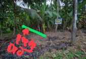Land For Sale In Kurunegala
