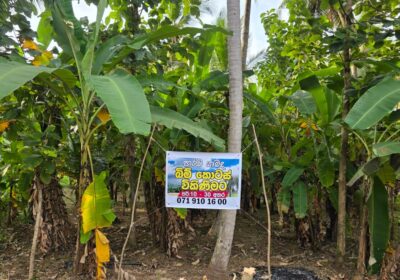 Land For Sale In Kurunegala