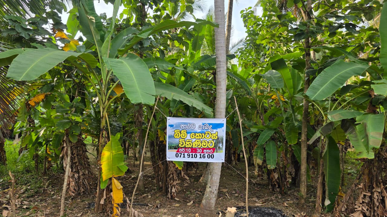 Land For Sale In Kurunegala