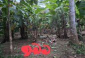 Land For Sale In Kurunegala