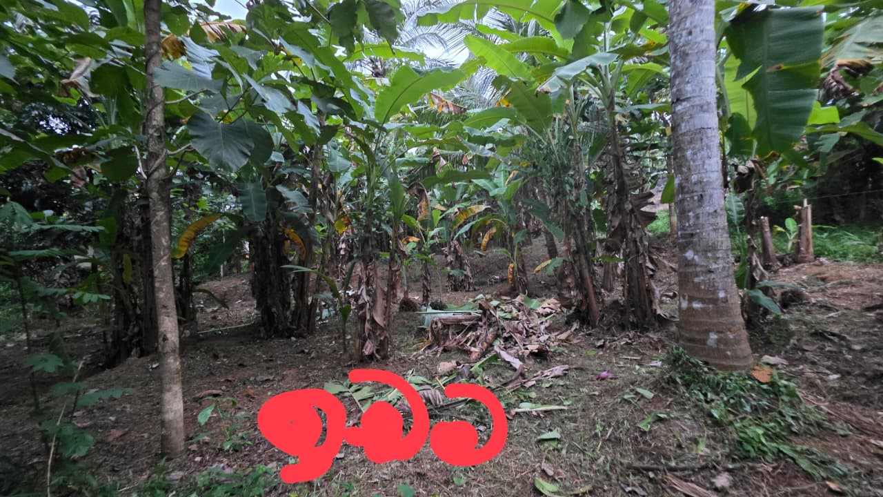 Land For Sale In Kurunegala