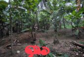 Land For Sale In Kurunegala
