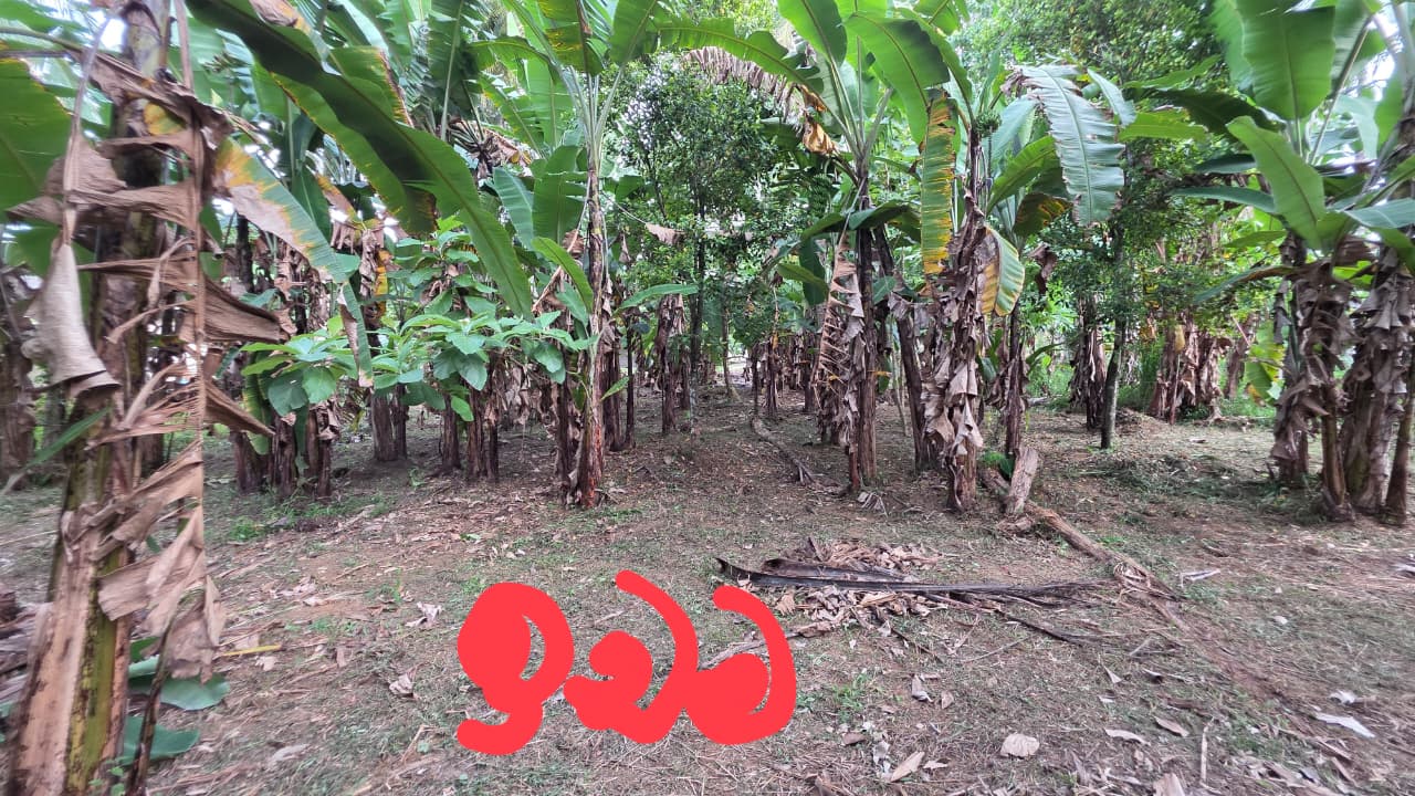 Land For Sale In Kurunegala