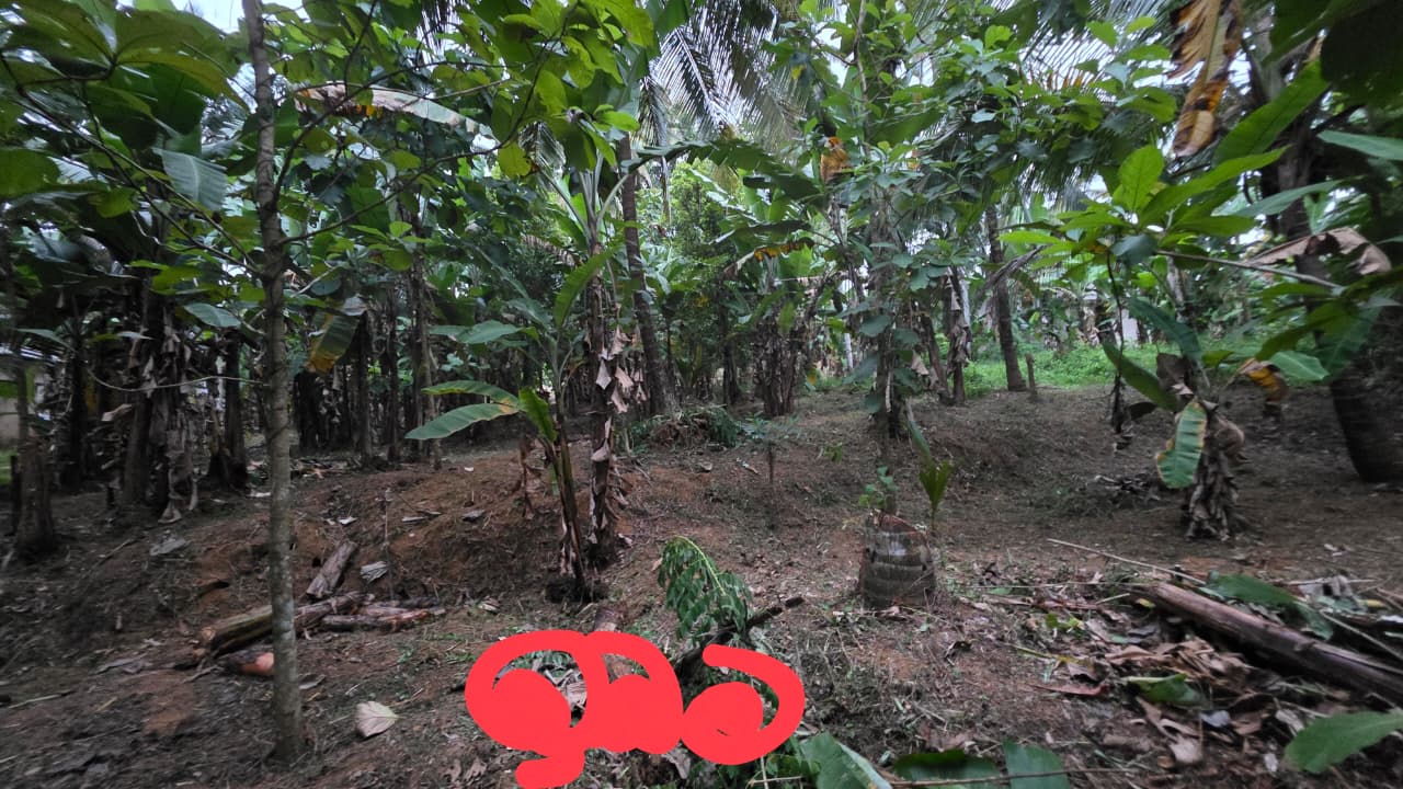 Land For Sale In Kurunegala