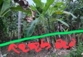 Land For Sale In Kurunegala