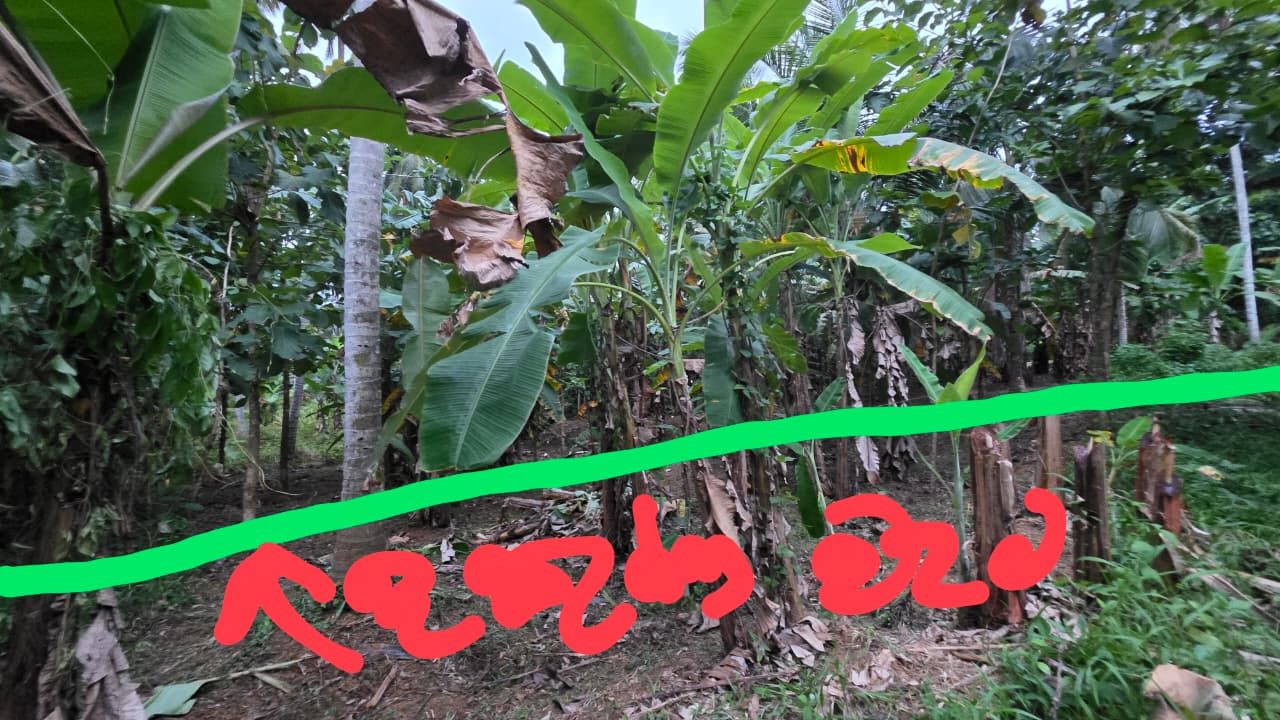 Land For Sale In Kurunegala