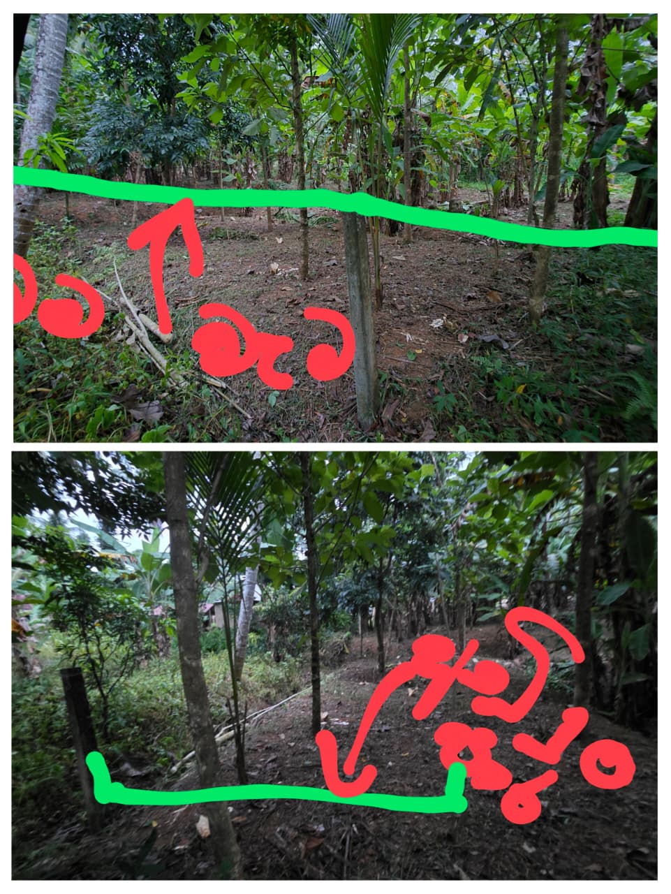 Land For Sale In Kurunegala