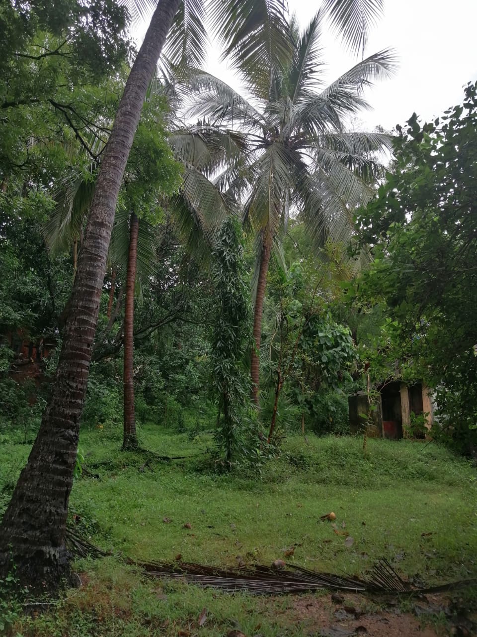 Land for Sale Trincomalee