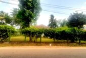 Land for Sale Kolamunna, Piliyandala