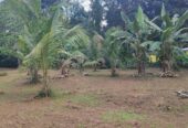 15 Perch Land for Sale in Bopitiya (Giriulla)