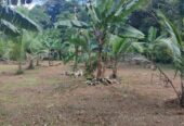 15 Perch Land for Sale in Bopitiya (Giriulla)