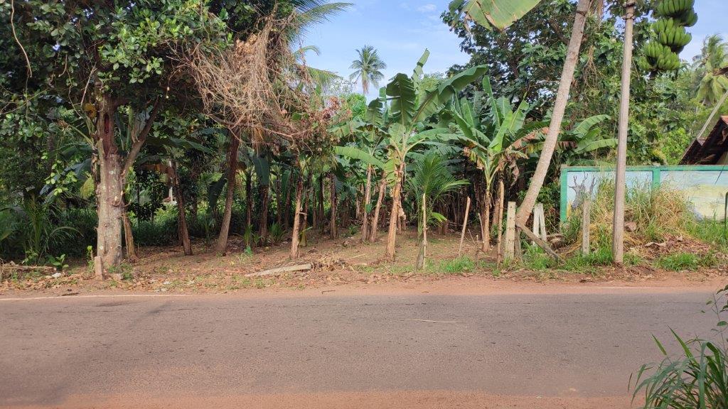 15 Perch Land for Sale in Bopitiya (Giriulla)