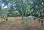 15 Perch Land for Sale in Bopitiya (Giriulla)