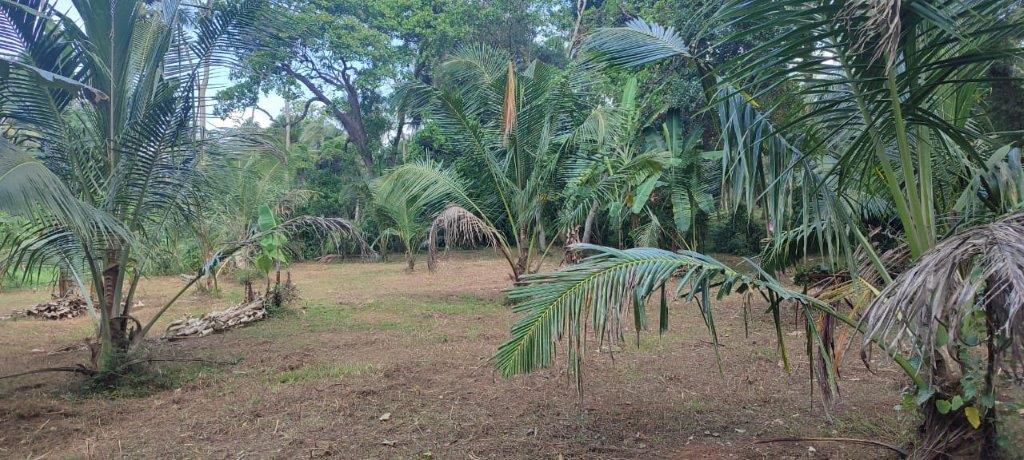 15 Perch Land for Sale in Bopitiya (Giriulla)