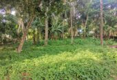 8.5 Perches Residential Land for Sale Piliyandala