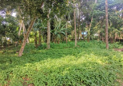 8.5 Perches Residential Land for Sale Piliyandala