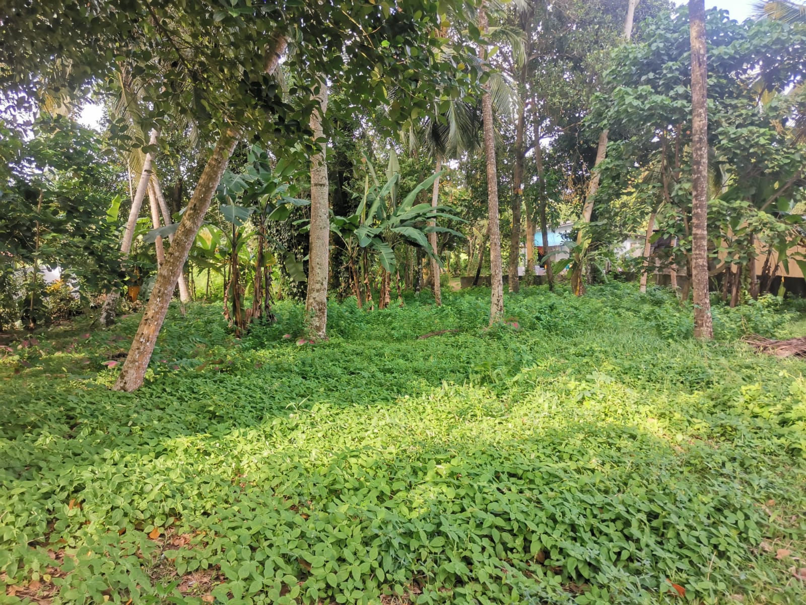 8.5 Perches Residential Land for Sale Piliyandala