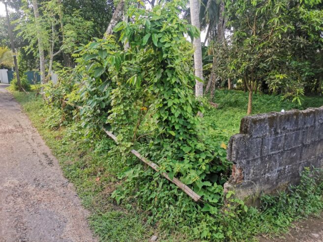 8.5 Perches Residential Land for Sale Piliyandala