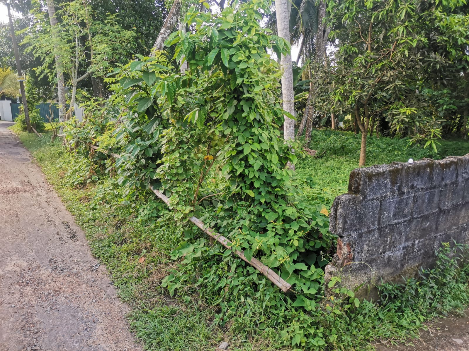 8.5 Perches Residential Land for Sale Piliyandala