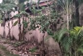 Welllampitiya House for Sale