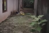 Welllampitiya House for Sale
