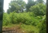 Residential Land for Sale in Malabe