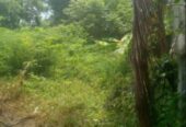 Residential Land for Sale in Malabe