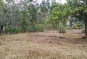 Residential Land for Sale in Millaniya