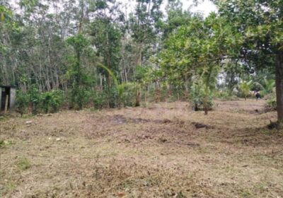 Residential Land for Sale in Millaniya