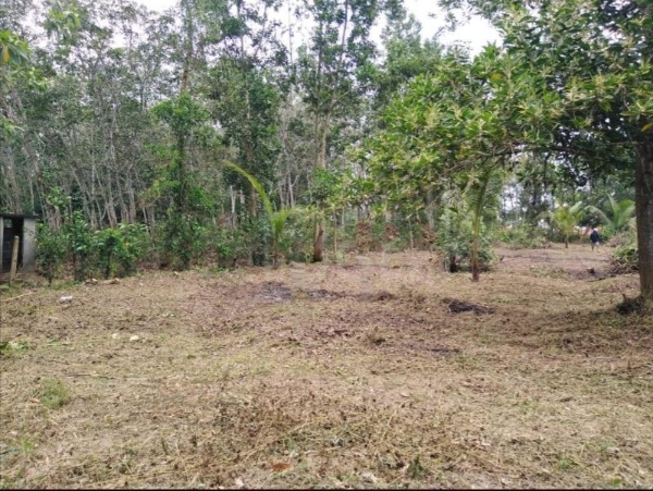 Residential Land for Sale in Millaniya