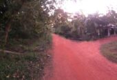 Land for Sale Talawa