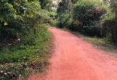 Land for Sale Talawa