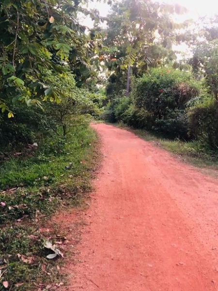 Land for Sale Talawa