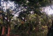 Land for Sale Talawa