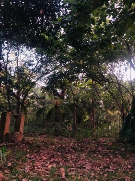 Land for Sale Talawa