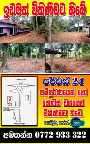 Land fir sale