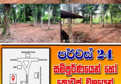 Land fir sale