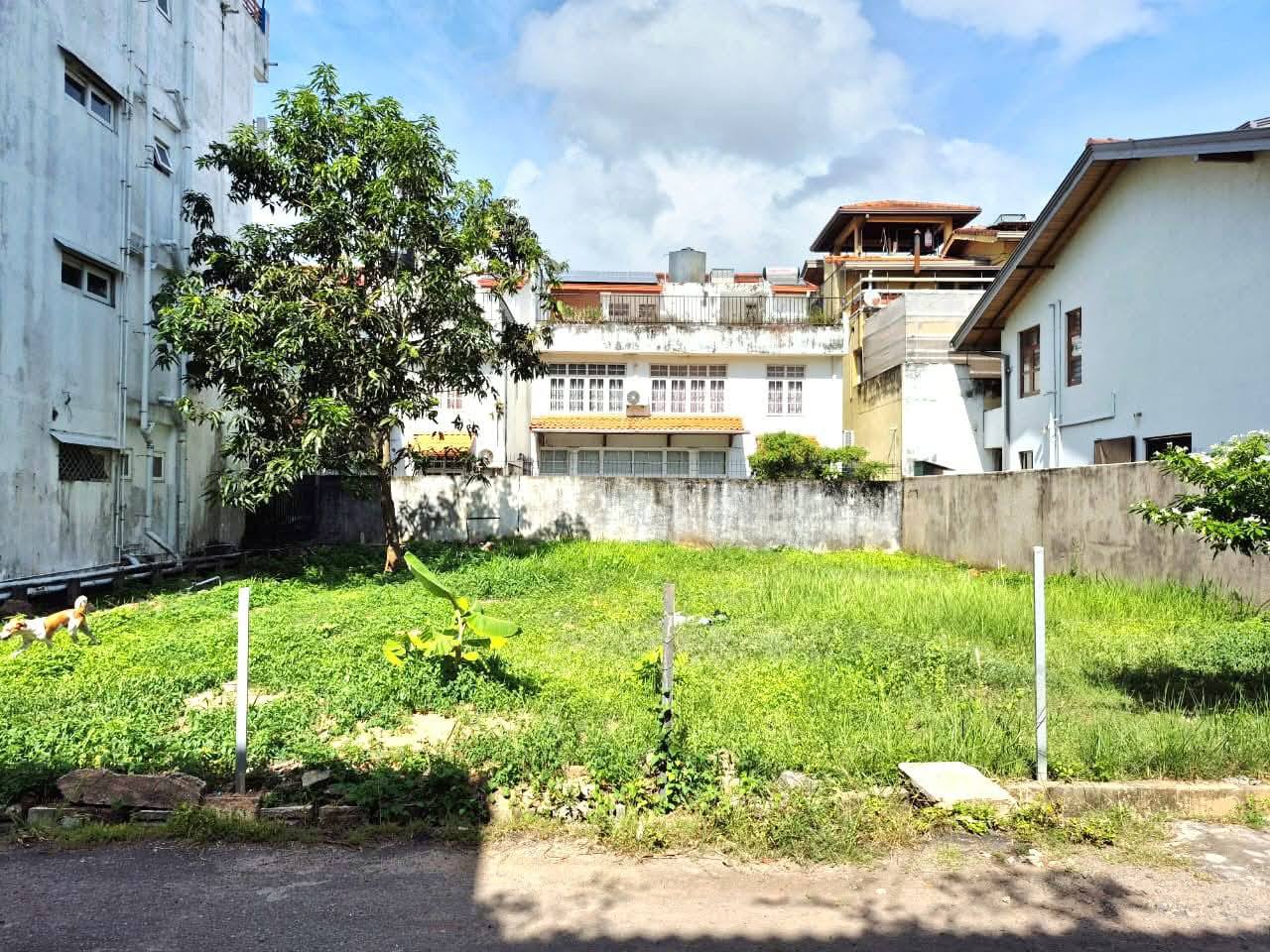 Land For Sale In Nawala