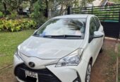 Toyota Vitz Safety Edition 2017