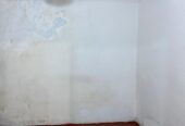 🏡 URGENT HOUSE SALE – 149/2, Galle Road, Dehiwala