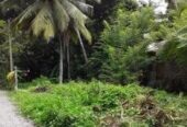 Seeduwa 15 Perches Residential Land